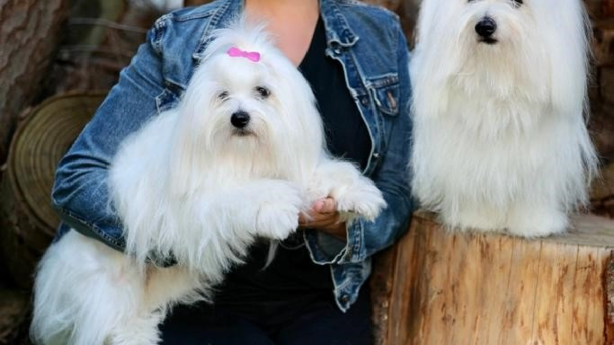 Tierschützerin Berit Zalbertus: 