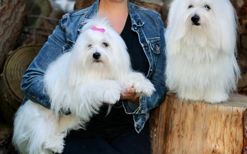 Tierschützerin Berit Zalbertus: Wir sind Brückenbauer und keine Verbotspartei! / Berit Zalbertus kandidiert für das Europa-Parlament mit der Partei 'TIERSCHUTZ hier' - Foto: presseportal.de