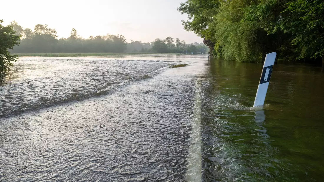 Eine Straße führt in das Überschwemmungsgebiet des Donaurieds. - Bild: Stefan Puchner/dpa