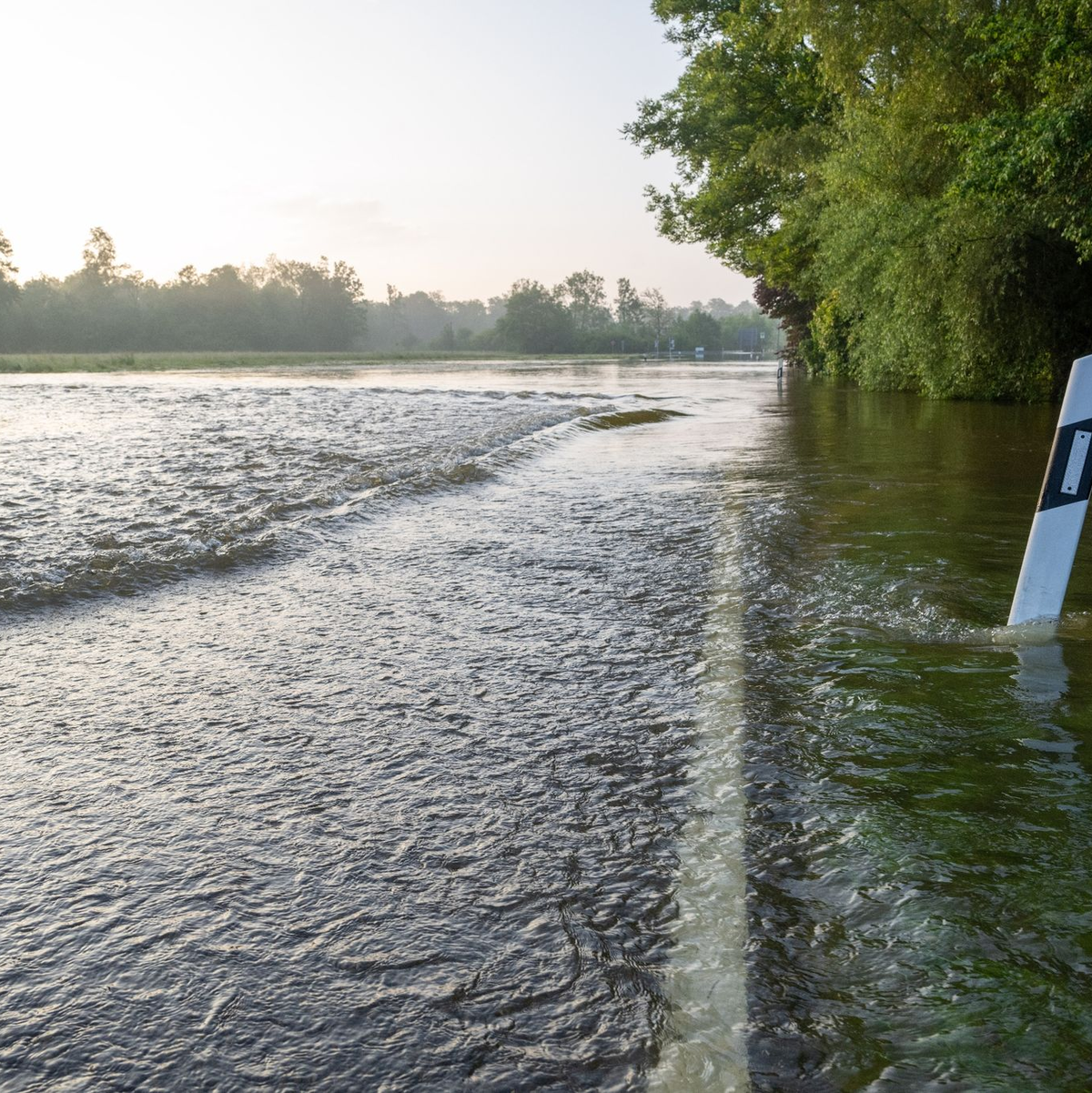 Eine Straße führt in das Überschwemmungsgebiet des Donaurieds. - Foto: Stefan Puchner/dpa