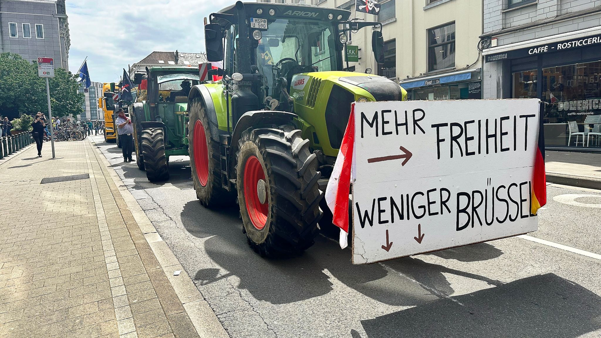 Tausende Landwirte protestierten gegen die Agrarpolitik der Europäischen Union. - Foto: Stella Venohr/dpa