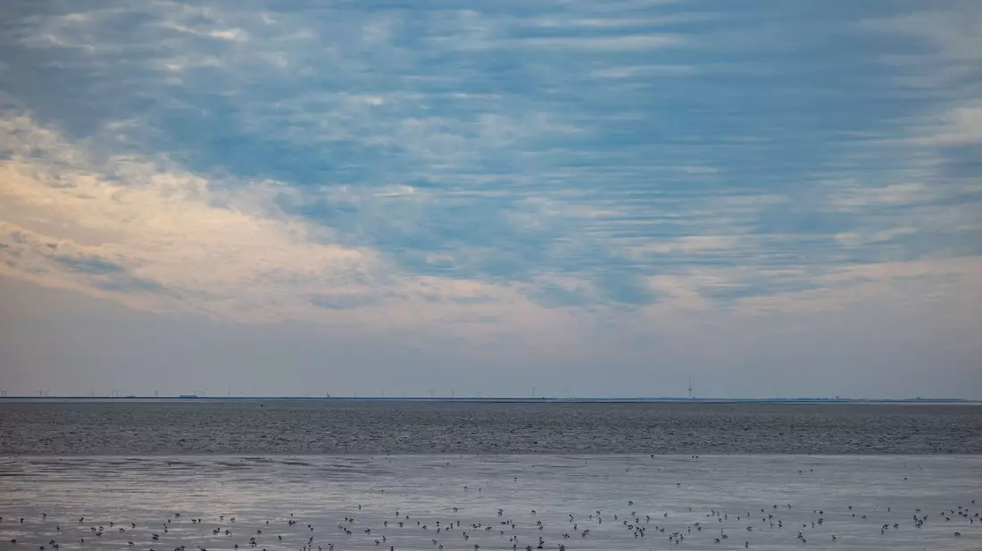 Die Wassertemperatur der Nordsee steigt. - Bild: Axel Heimken/dpa