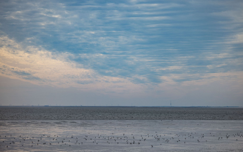 Die Wassertemperatur der Nordsee steigt. - Foto: Axel Heimken/dpa