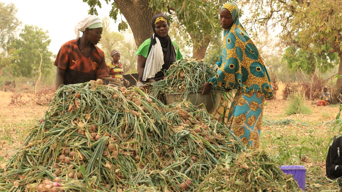 Fokus Sahel Konferenz 10.-12. Juni 2024 / Hilfsorganisationen warnen vor multiplen Krisen und Hilfskürzungen im Sahel - Foto: presseportal.de