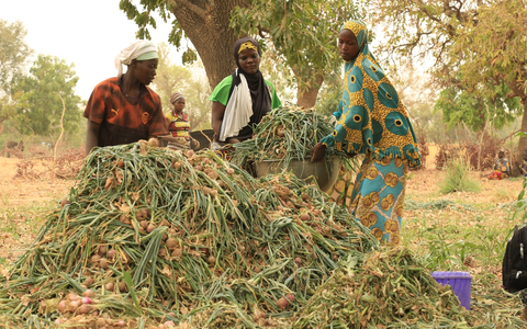 Fokus Sahel Konferenz 10.-12. Juni 2024 / Hilfsorganisationen warnen vor multiplen Krisen und Hilfskürzungen im Sahel - Foto: presseportal.de