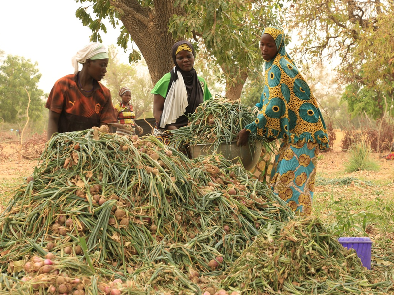 Fokus Sahel Konferenz 10.-12. Juni 2024 / Hilfsorganisationen warnen vor multiplen Krisen und Hilfskürzungen im Sahel - Foto: presseportal.de