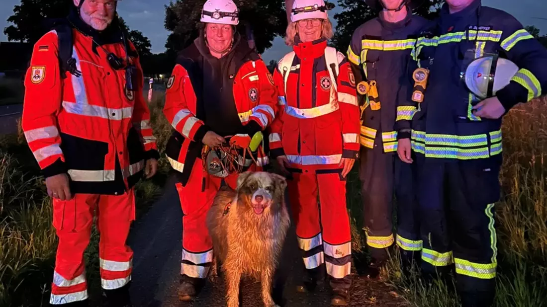 POL-UN: Selm - Vermisster Senior wurde nach umfangreichen Suchmaßnahmen von Flächensuchhund aufgefunden - Bild: presseportal.de