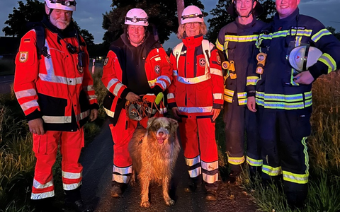 POL-UN: Selm - Vermisster Senior wurde nach umfangreichen Suchmaßnahmen von Flächensuchhund aufgefunden - Foto: presseportal.de