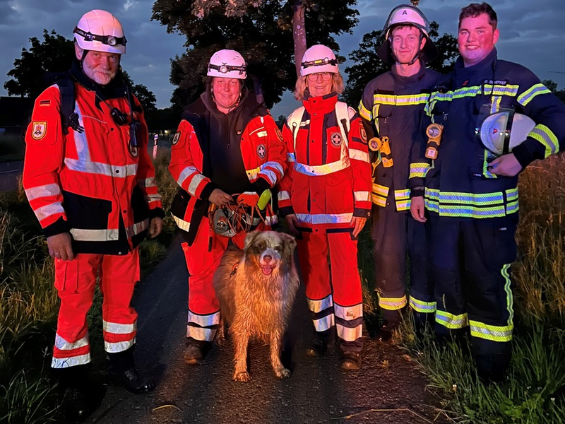 POL-UN: Selm - Vermisster Senior wurde nach umfangreichen Suchmaßnahmen von Flächensuchhund aufgefunden - Foto: presseportal.de