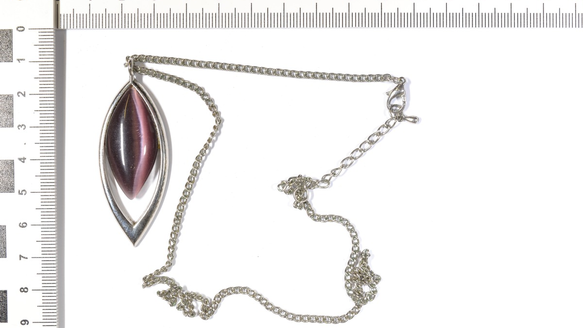 POL-EL: Nordhorn - Eigentümer/innen gesucht - Foto: presseportal.de