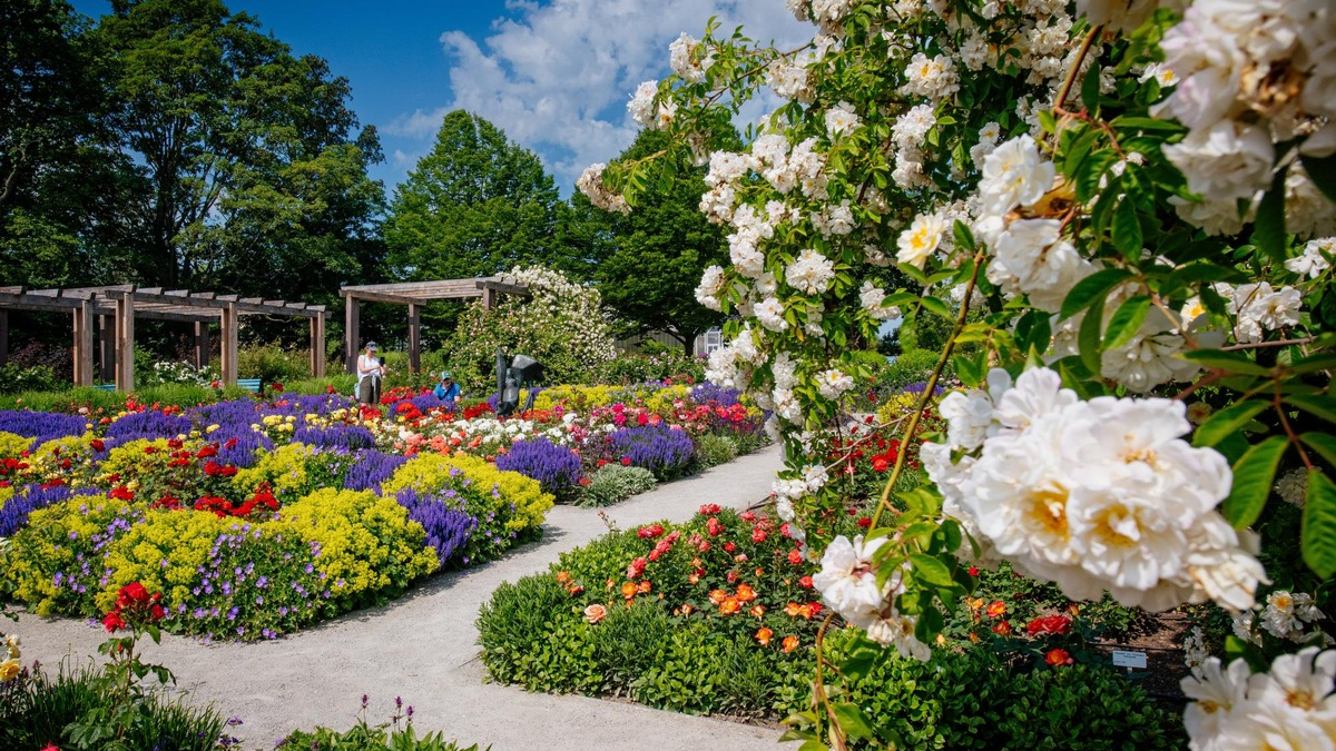 Sommerrabattwochen im egapark mit 20 Prozent Preisvorteil vom 4. - 16. Juni 2024 / Rosengartenfest und Sommerschau als Höhepunkte - Foto: presseportal.de