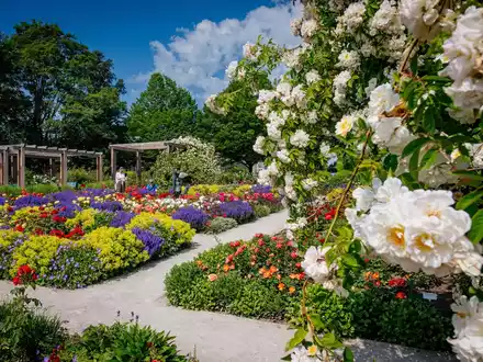 Sommerrabattwochen im egapark mit 20 Prozent Preisvorteil vom 4. - 16. Juni 2024 / Rosengartenfest und Sommerschau als Höhepunkte - Foto: presseportal.de
