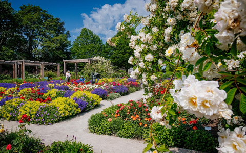 Sommerrabattwochen im egapark mit 20 Prozent Preisvorteil vom 4. - 16. Juni 2024 / Rosengartenfest und Sommerschau als Höhepunkte - Foto: presseportal.de