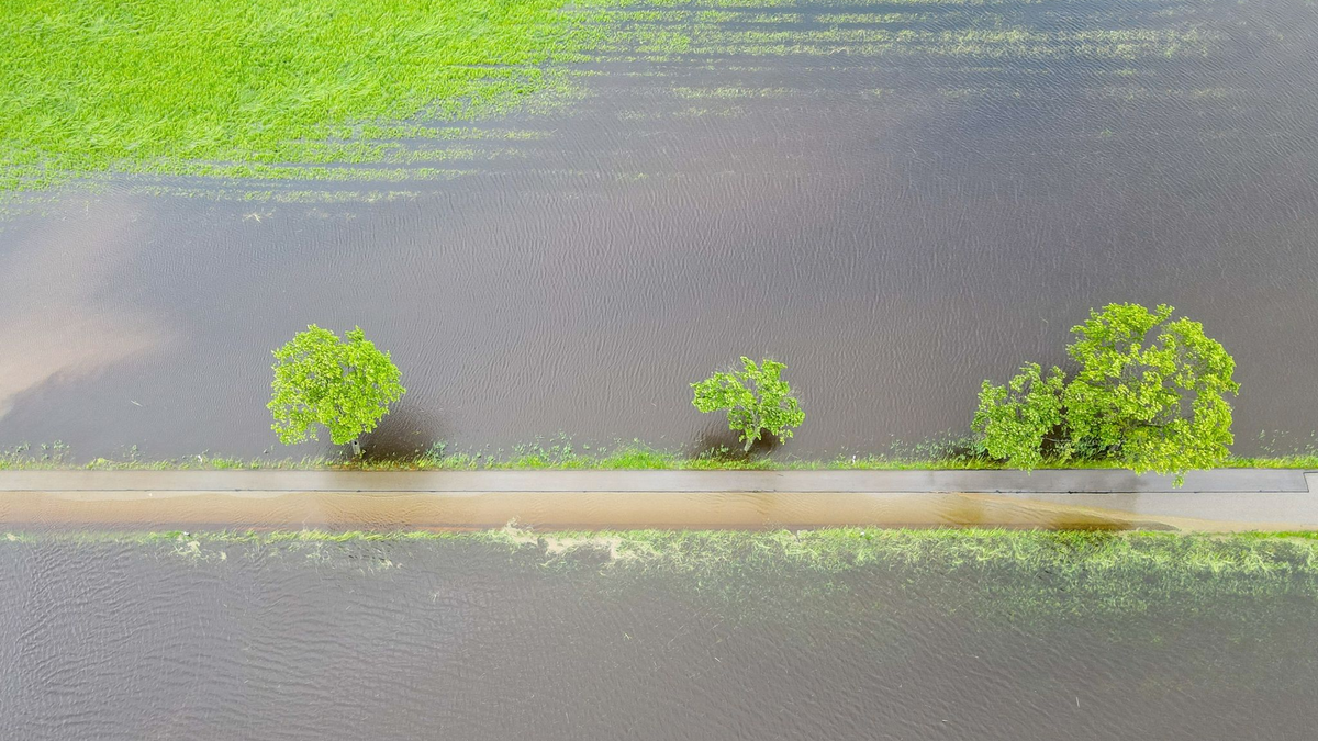 Ganze Wiesen und Felder sind nach den anhaltenden Regenfällen überschwemmt. Das hat auch Folgen für die Landwirtschaft. - Foto: Marius Bulling/onw-images/dpa
