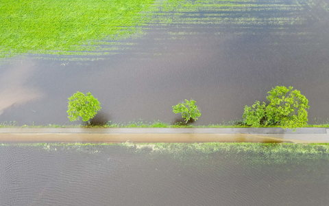 Ganze Wiesen und Felder sind nach den anhaltenden Regenfällen überschwemmt. Das hat auch Folgen für die Landwirtschaft. - Foto: Marius Bulling/onw-images/dpa