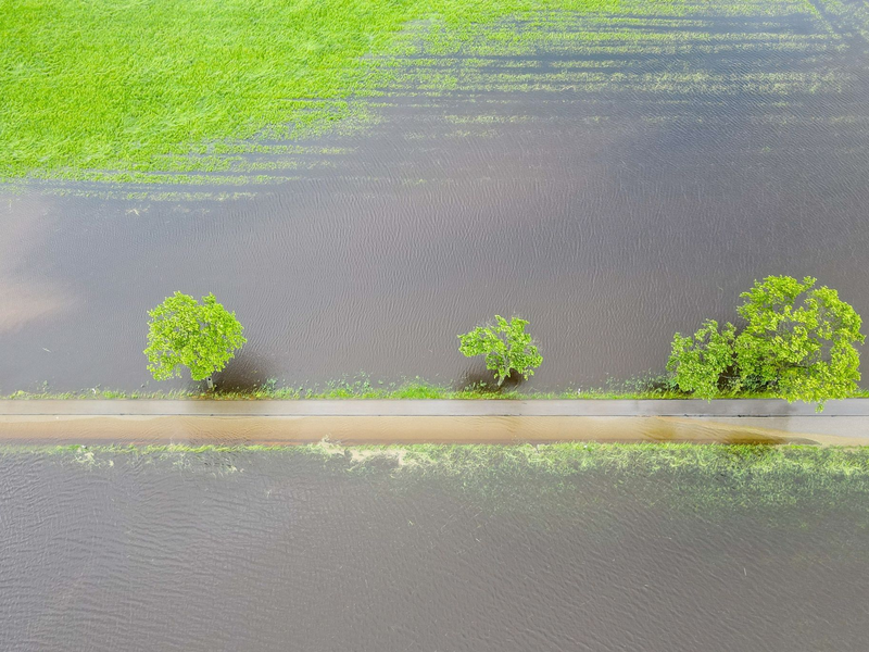 Ganze Wiesen und Felder sind nach den anhaltenden Regenfällen überschwemmt. Das hat auch Folgen für die Landwirtschaft. - Foto: Marius Bulling/onw-images/dpa