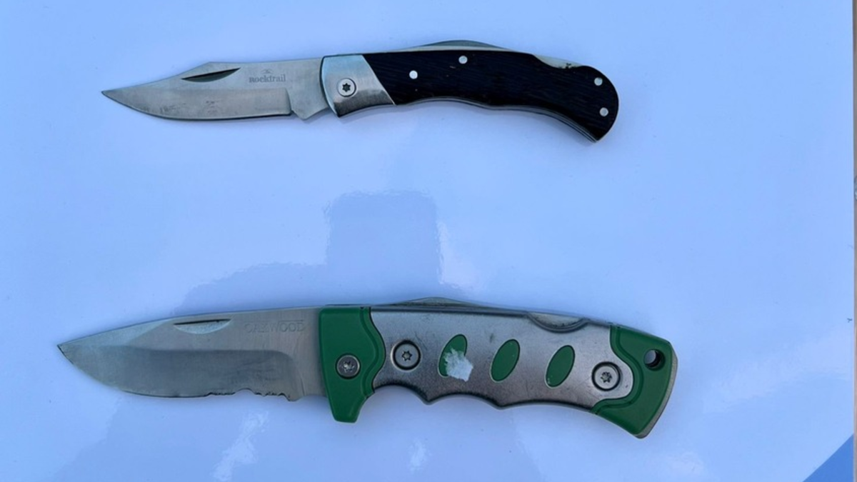 BPOL-HH: Fahndungs- und Präsenzmaßnahmen der Bundespolizei im Hamburger Hauptbahnhof - Foto: presseportal.de