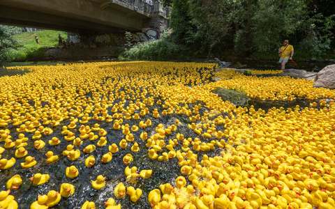 Das 13. Freiburger Entenrennen für den guten Zweck - Foto: presseportal.de
