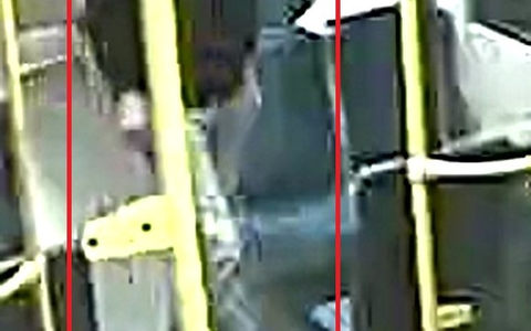 POL-NMS: 240802-1-pdnms Raubüberfall auf ältere Dame in ihrem eigenen Garten, Zeugen gesucht - Foto: presseportal.de