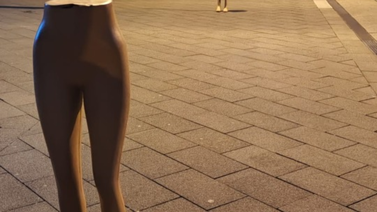 LPI-NDH: Schlechter Scherz, Werbeaktion oder Kunst - Foto: presseportal.de