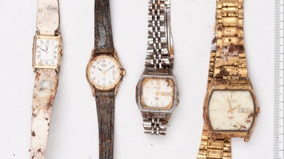 POL-FL: Flensburg - Mögliches Stehlgut auf Friedhof gefunden - Foto: presseportal.de