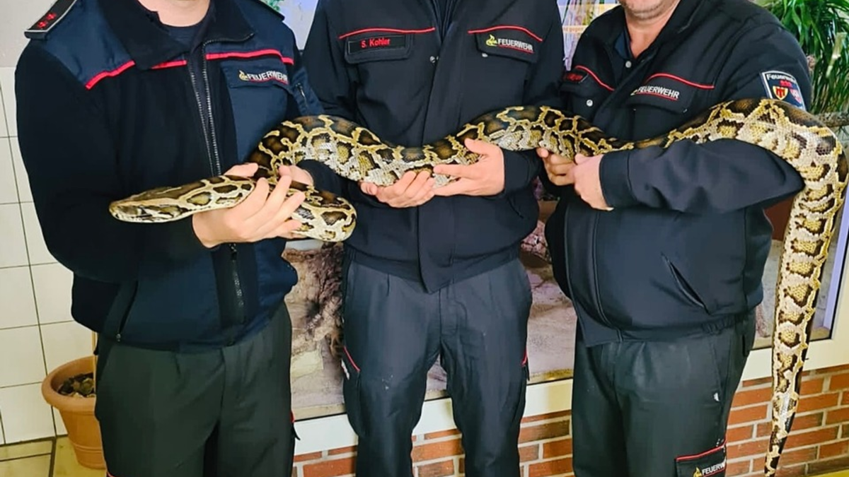 FW Böblingen: Erster Einsatz für die Fachgruppe Schlangen und Reptilien - Foto: presseportal.de