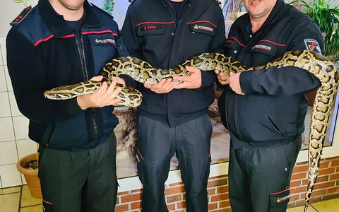 FW Böblingen: Erster Einsatz für die Fachgruppe Schlangen und Reptilien - Foto: presseportal.de