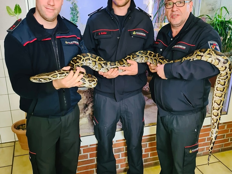 FW Böblingen: Erster Einsatz für die Fachgruppe Schlangen und Reptilien - Foto: presseportal.de