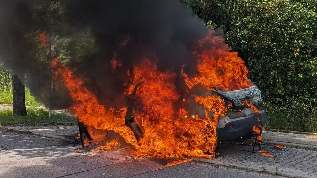 FW Dresden: Informationen zum Einsatzgeschehen von Feuerwehr und Rettungsdienst in der Landeshauptstadt Dresden vom 7. Juni 2024 - Bild: presseportal.de