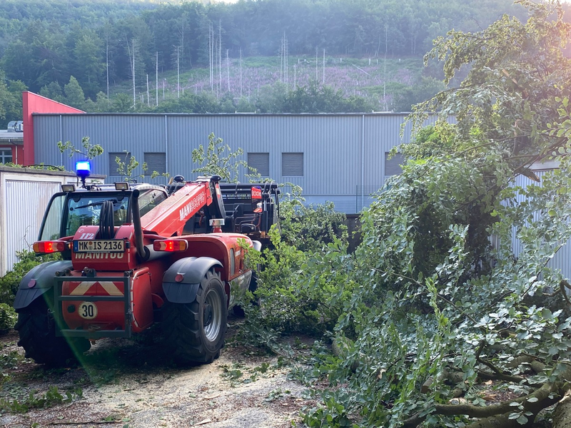 FW-MK: Umgestürzter Baum - Einsatz für den Teleskoplader - Foto: presseportal.de