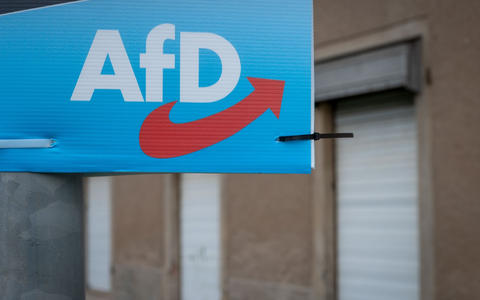 Wahlplakat der AfD. - Foto: Hendrik Schmidt/dpa-Zentralbild/dpa