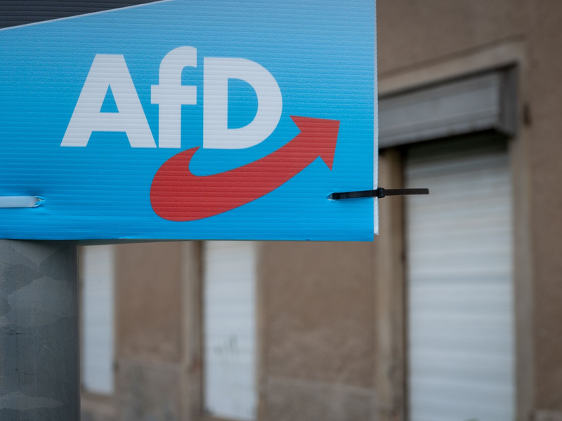 Wahlplakat der AfD. - Foto: Hendrik Schmidt/dpa-Zentralbild/dpa