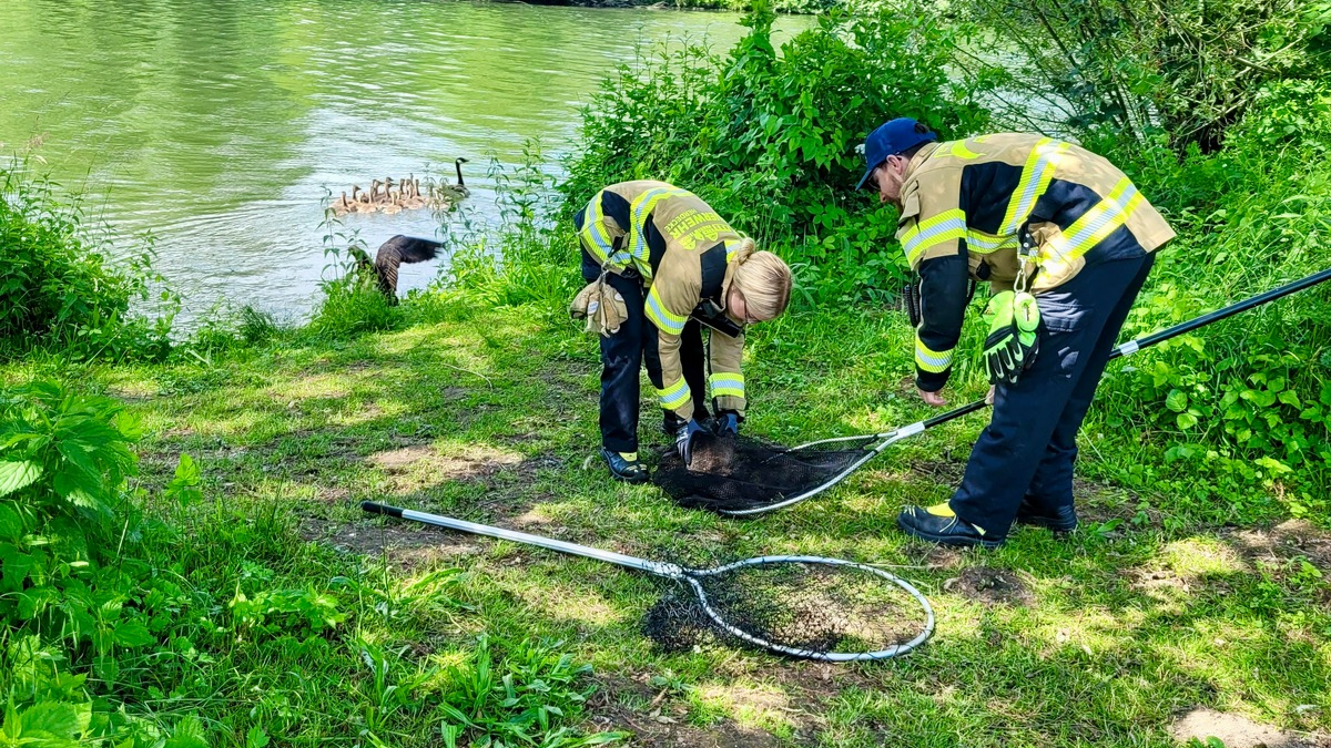 FW-EN: Sieben Kleineinsätze - Tierrettungen - hilflose Personen hinter Wohnungstüren und Kleinbrand mit Live Video - Foto: presseportal.de