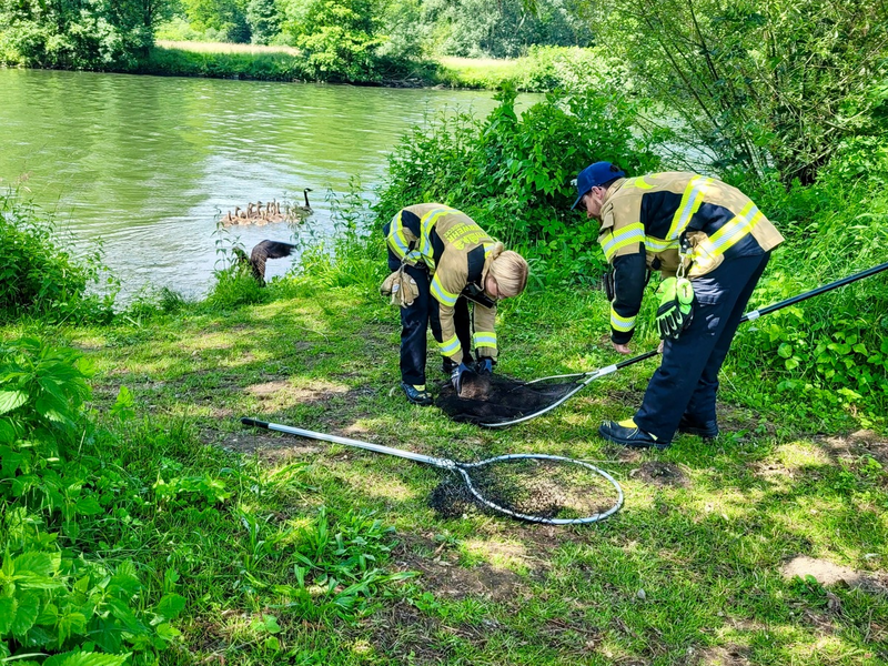 FW-EN: Sieben Kleineinsätze - Tierrettungen - hilflose Personen hinter Wohnungstüren und Kleinbrand mit Live Video - Foto: presseportal.de