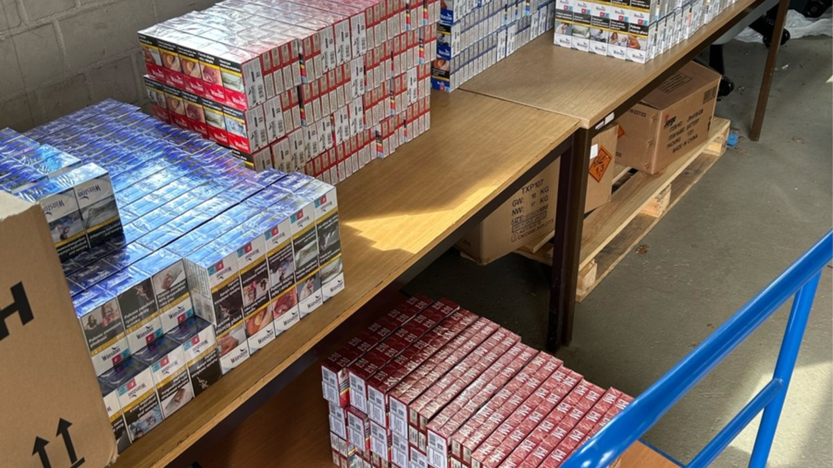 HZA-HST: Zollhündin 