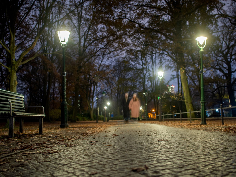 Laternen am Rande des Großen Tiergartens in Berlin. - Foto: Philipp Znidar/dpa-Zentralbild/dpa