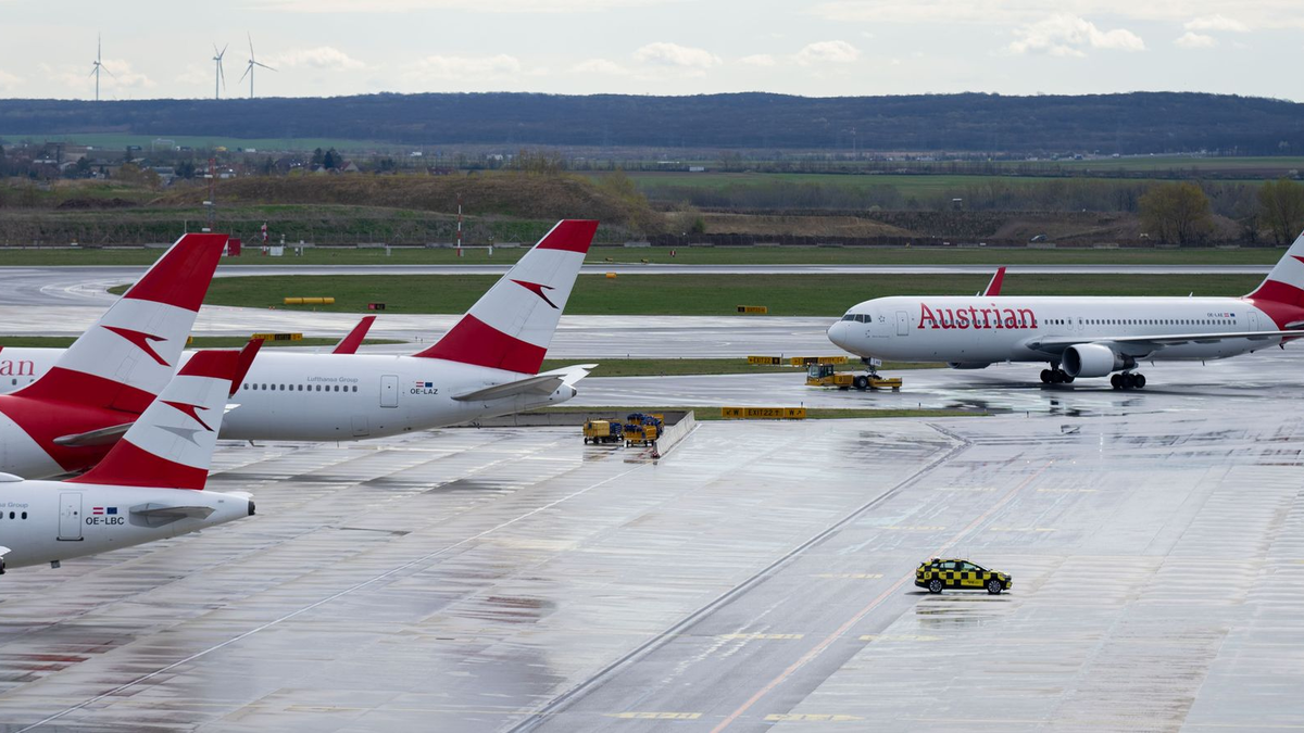Geparkte Flugzeuge der Austrian Airlines  (AUA) am Flughafen Wien-Schwechat (Archivbild). - Foto: Georg Hochmuth/APA/dpa