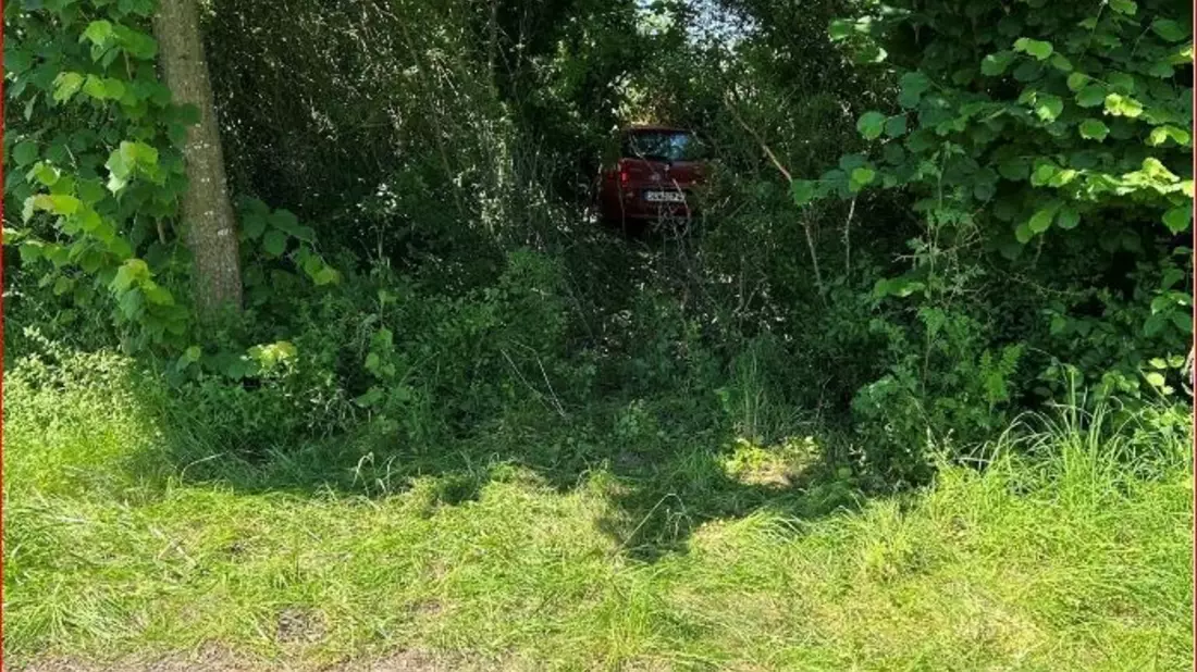 POL-PDLD: Unfallfahrerin wird leichtverletzt - Bild: presseportal.de