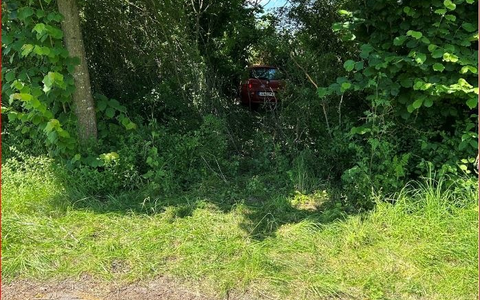 POL-PDLD: Unfallfahrerin wird leichtverletzt - Foto: presseportal.de