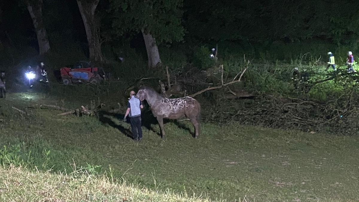 FW Borgentreich: Pferd musste von der Feuerwehr gerettet werden. - Foto: presseportal.de