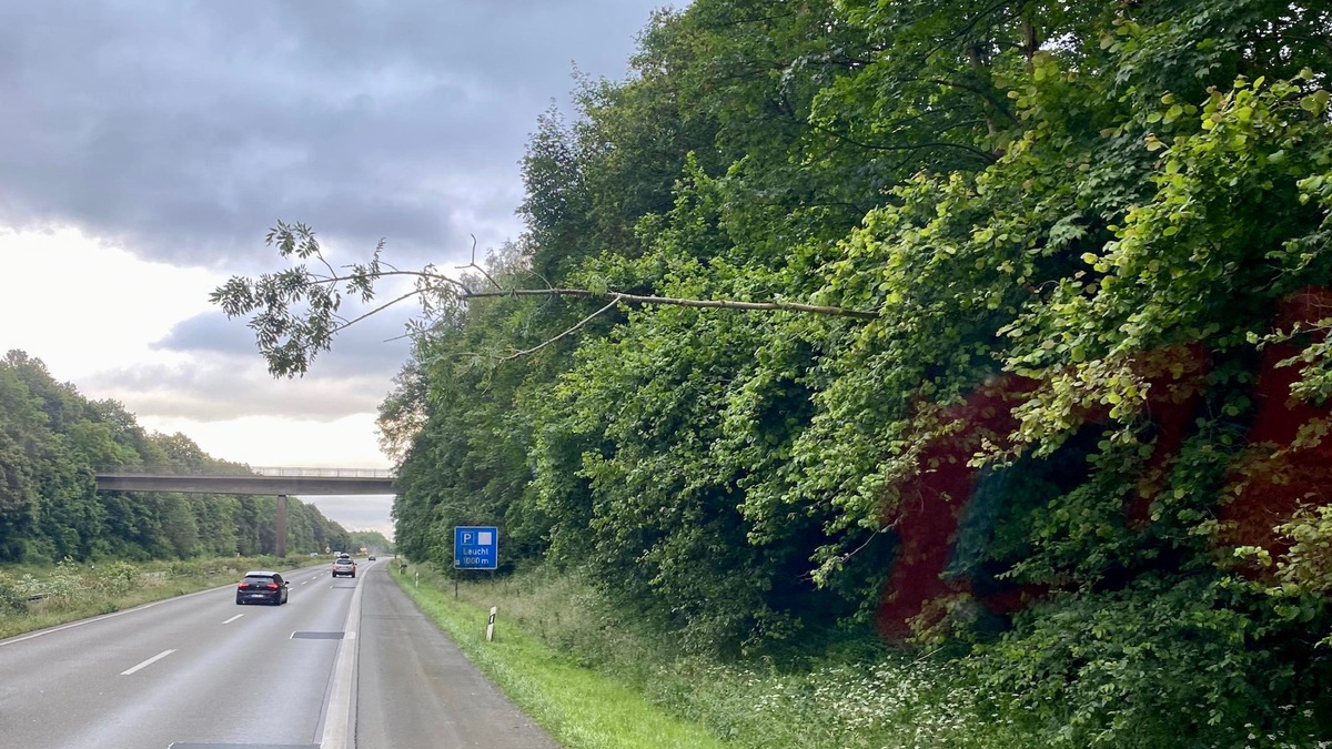 FW Alpen: Zwei Sturmeinsätze in Alpen - Foto: presseportal.de