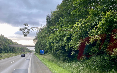 FW Alpen: Zwei Sturmeinsätze in Alpen - Foto: presseportal.de