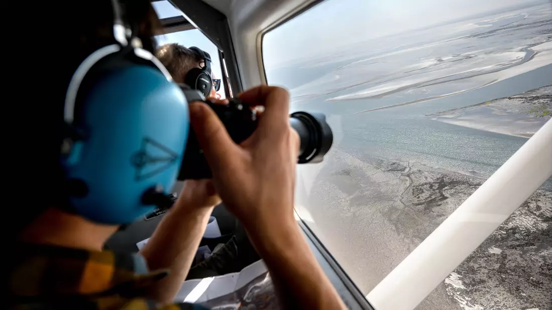 Aus der Luft zählen und fotografieren Experten Alt- und Jungtiere, die sich bei Ebbe ausruhten. - Bild: Sina Schuldt/dpa