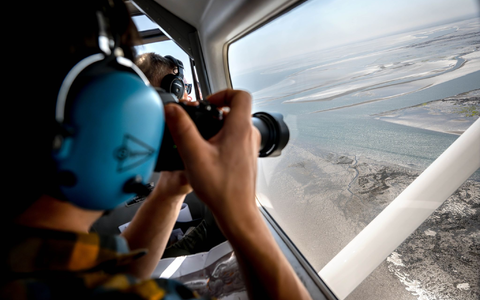 Aus der Luft zählen und fotografieren Experten Alt- und Jungtiere, die sich bei Ebbe ausruhten. - Foto: Sina Schuldt/dpa
