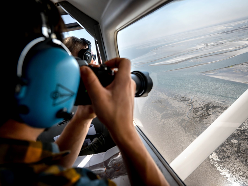 Aus der Luft zählen und fotografieren Experten Alt- und Jungtiere, die sich bei Ebbe ausruhten. - Foto: Sina Schuldt/dpa
