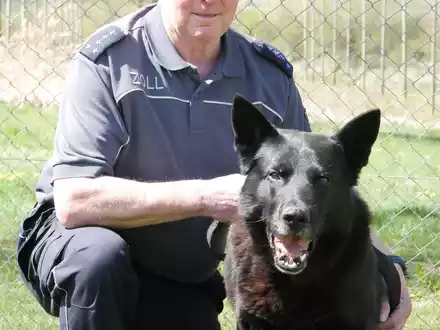 HZA-UL: Immer auf der Suche - Zollhundetrainer Dieter Lohr geht nach 48 Dienstjahren in den Ruhestand - Foto: presseportal.de