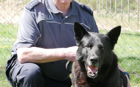 HZA-UL: Immer auf der Suche - Zollhundetrainer Dieter Lohr geht nach 48 Dienstjahren in den Ruhestand - Foto: presseportal.de