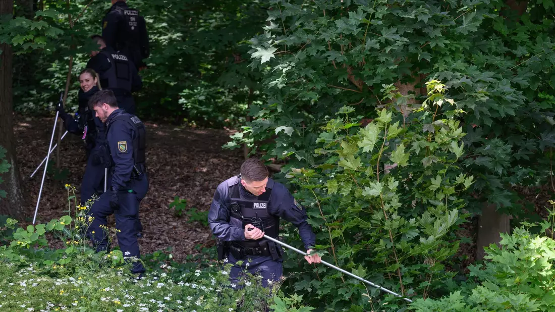 Polizisten suchen mit Suchstangen in einem Waldstück bei Döbeln nach der vermissten Grundschülerin. - Bild: Robert Michael/dpa