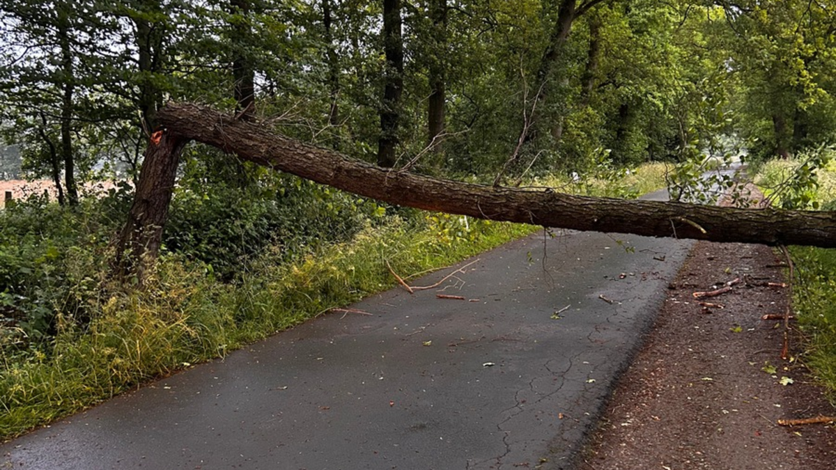 FW-Schermbeck: Sturmschaden - Foto: presseportal.de