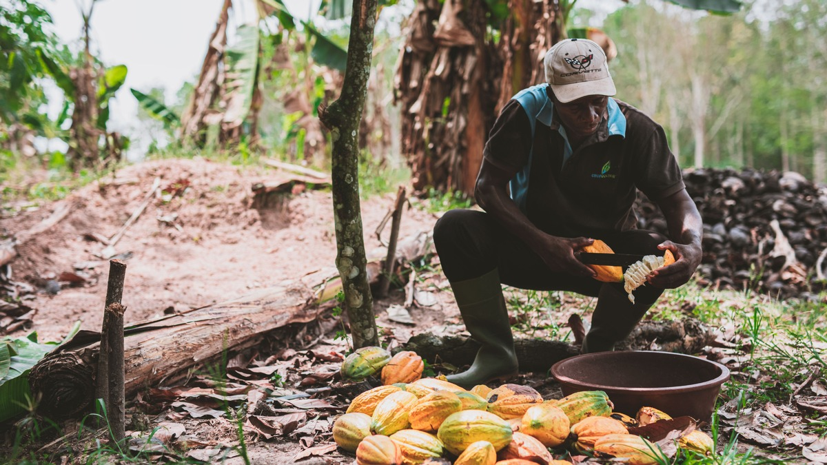 Welttag gegen Kinderarbeit: Trotz steigender Kakaopreise arbeiten weiter Millionen von Kindern illegal für unsere Schokolade - Foto: presseportal.de